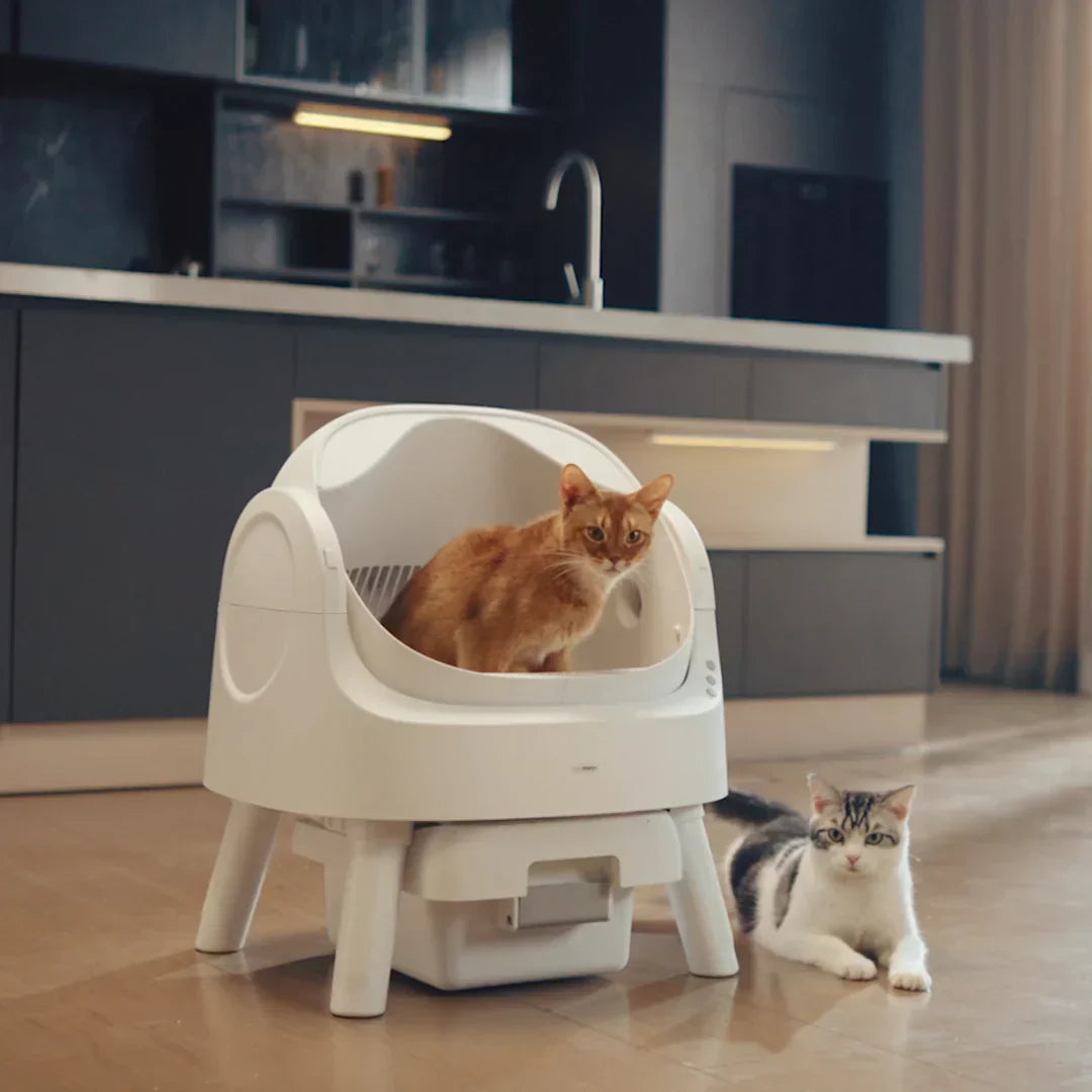 Autoscooper 11 Open-Top Self-Cleaning Litter Box