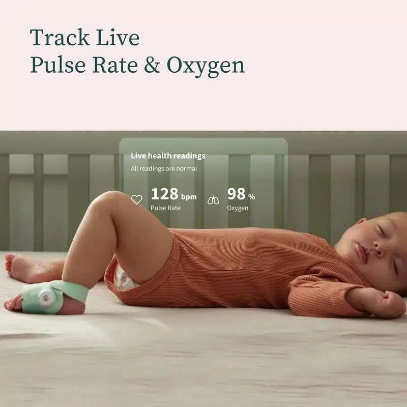 Owlet Dream Sock®