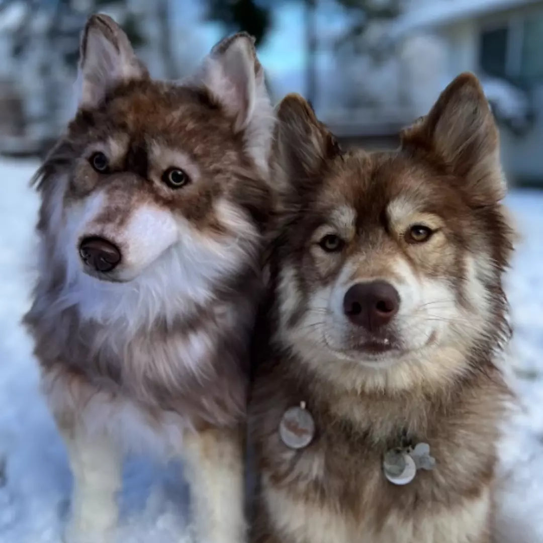 Original Plush Cuddle Clone